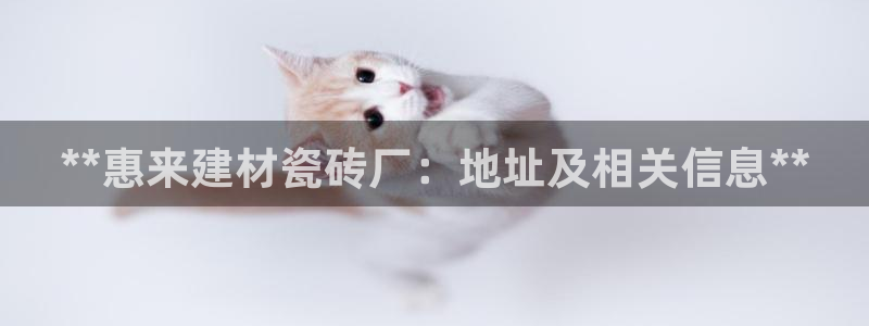 杏鑫平台注册地址在哪里