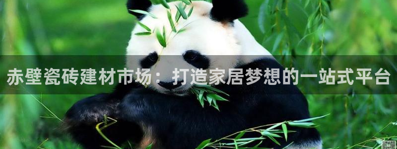 杏鑫平台代理注册流程图