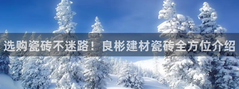 杏鑫平台代理注册登录不了怎么办呀视频