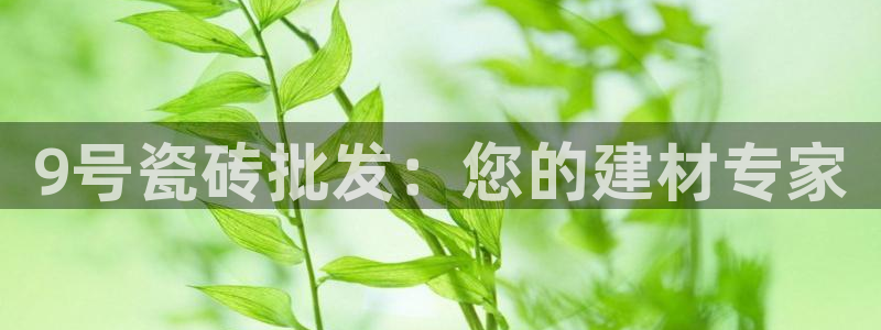 杏鑫平台下载安装
