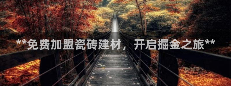 杏鑫主管