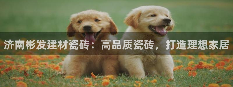 杏鑫娱乐怎么下