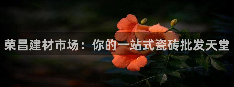 杏鑫平台广7O777