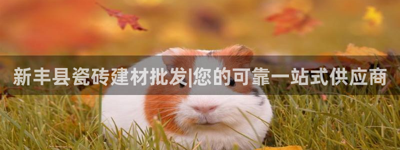 杏鑫娱乐-官方网站