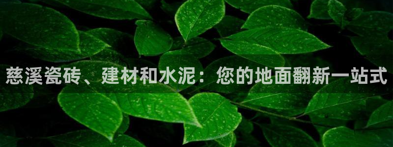 杏鑫平台注册登录