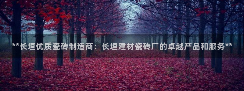 杏鑫3主管
