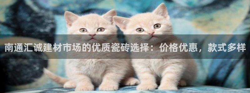 杏鑫平台招商电话