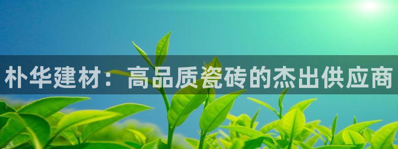 杏鑫平台招商电话