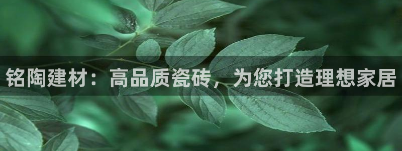 杏鑫平台正规吗可信吗