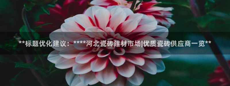 杏鑫平台招商