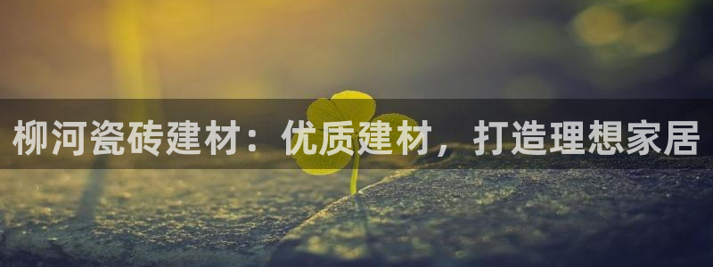 杏鑫代理注册平台