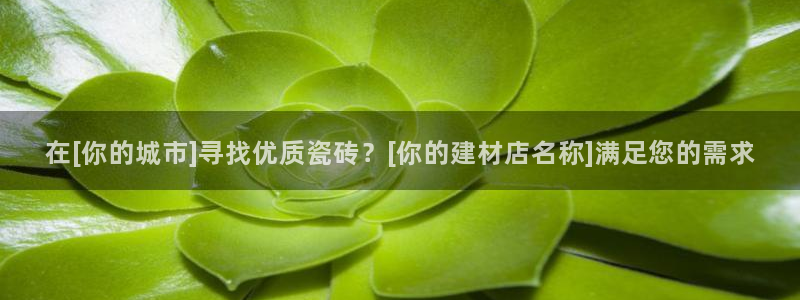 杏鑫娱乐负责人