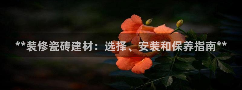 杏鑫平台线路测速