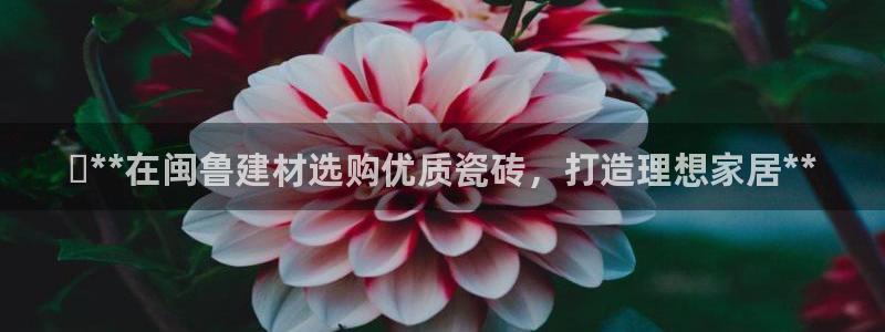 杏鑫注册登录平台是什么