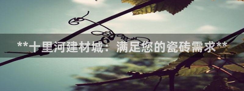 杏鑫注册登录代理