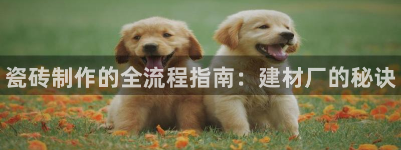杏鑫娱乐多少年了