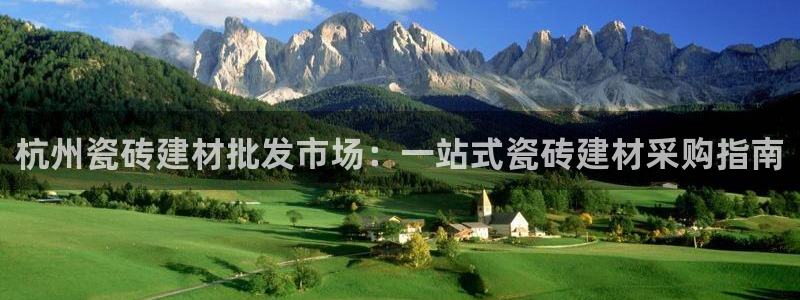 杏鑫招商总代