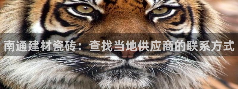杏鑫平台招商电话