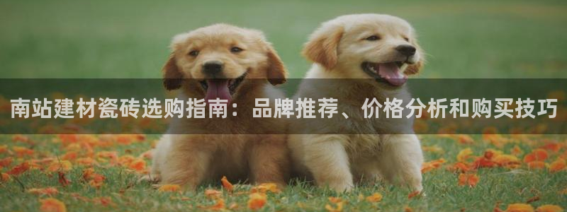 杏鑫平台注册登录
