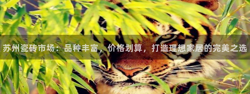 杏鑫平台代理怎么做