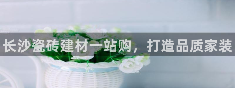 杏鑫娱乐官网首页
