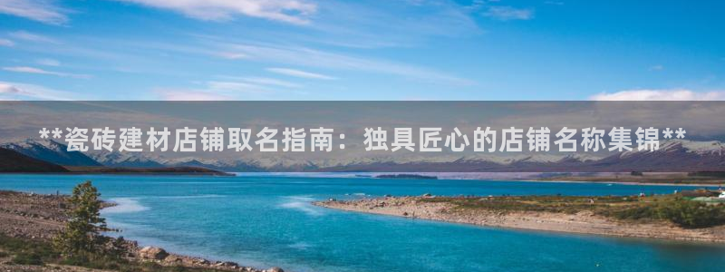 杏鑫代理注册资金多少
