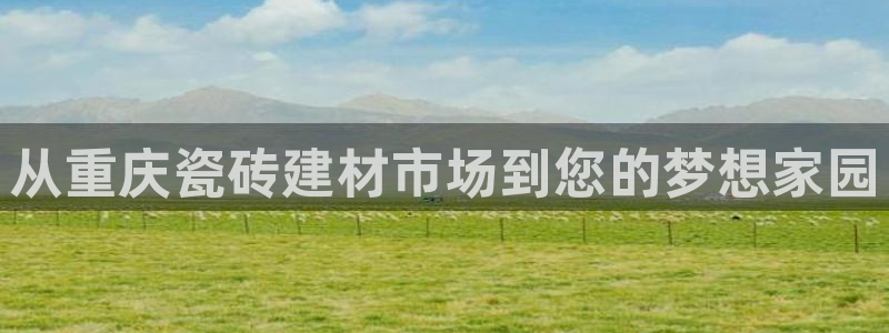 杏鑫官网最新信息新闻