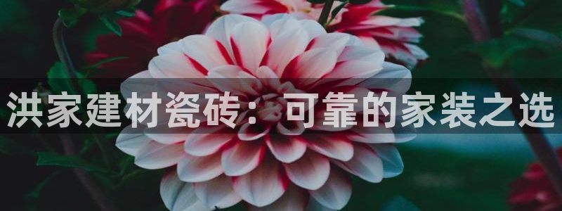 杏鑫手机客户端怎么下载