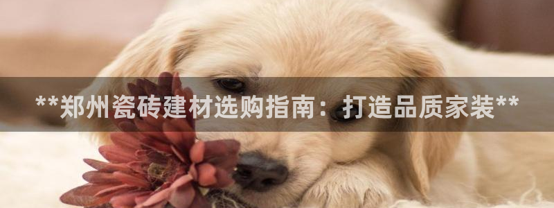 杏鑫平台代理怎么做