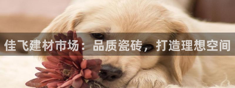 杏鑫平台代理怎么样赚钱