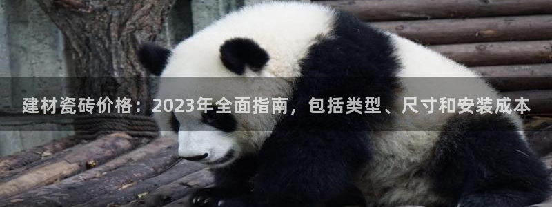 杏鑫代理注册登录