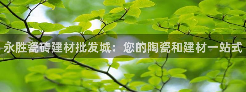 杏鑫官网注册账号是什么样的
