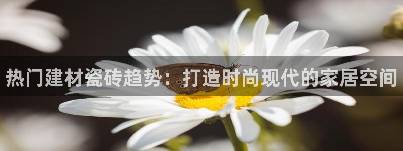 杏鑫娱乐是真的吗