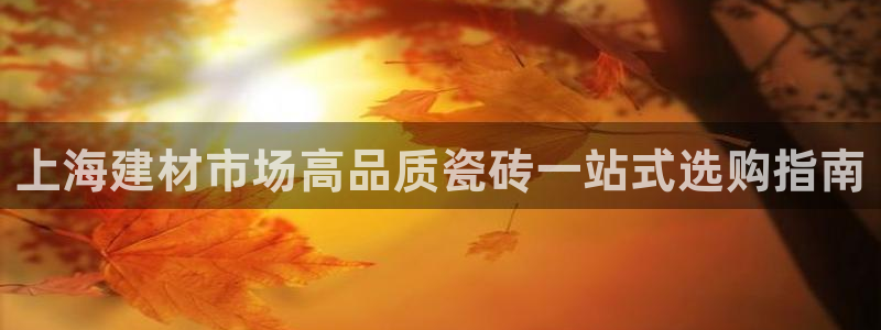 杏鑫平台代理注册多少钱一个