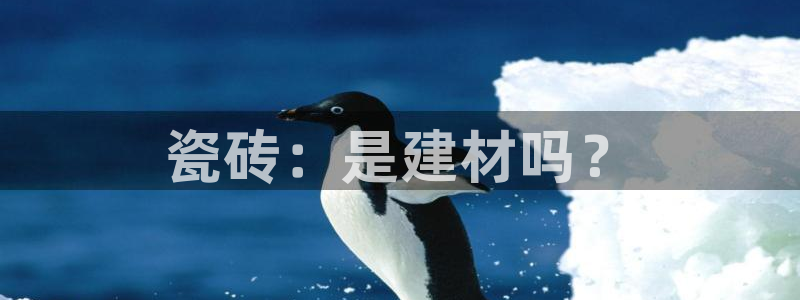 杏鑫娱乐是真的吗还是假的