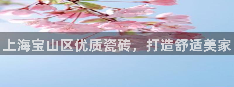 杏鑫平台代理怎么做