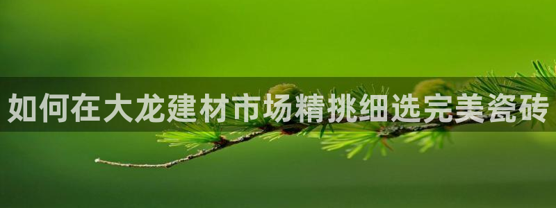 杏鑫平台平台娱乐