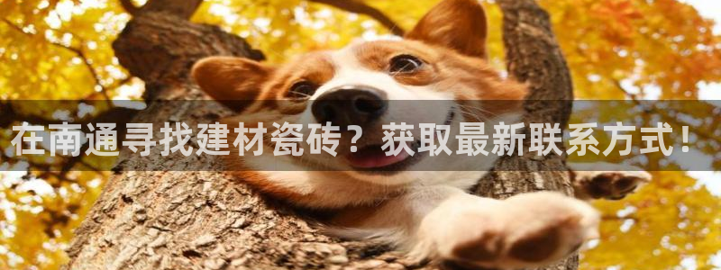 杏鑫平台怎么样黑钱吗