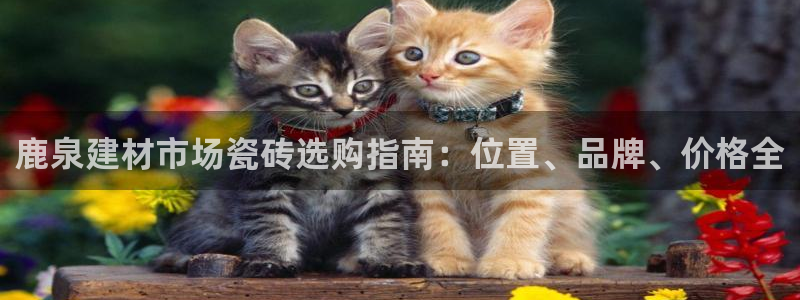 杏鑫娱乐平台测速