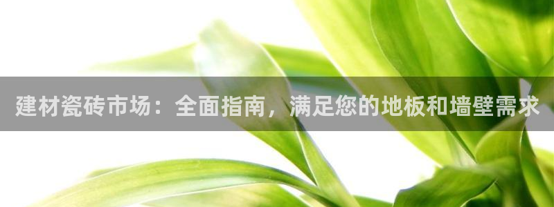 杏鑫平台是黑平台吗