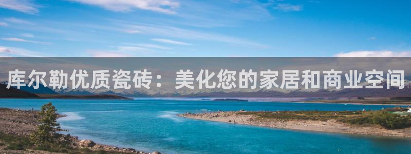 杏鑫招商总代