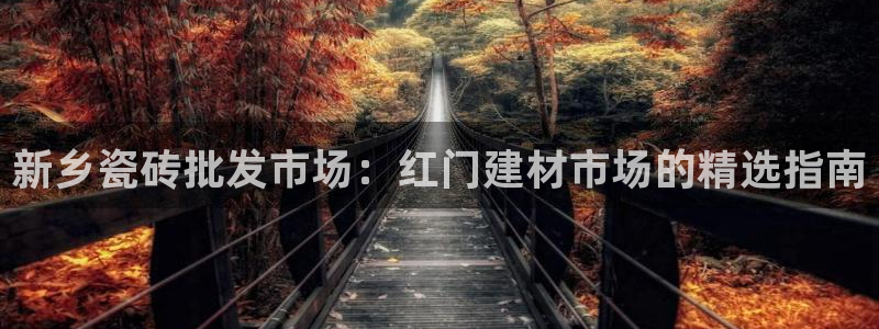 杏鑫官网最新信息