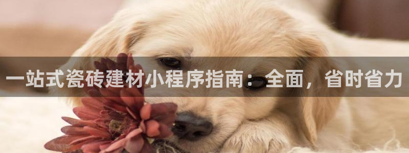 杏鑫娱乐是合法的吗是真的吗