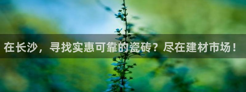 杏鑫平台怎么样黑钱吗安全吗是真的吗