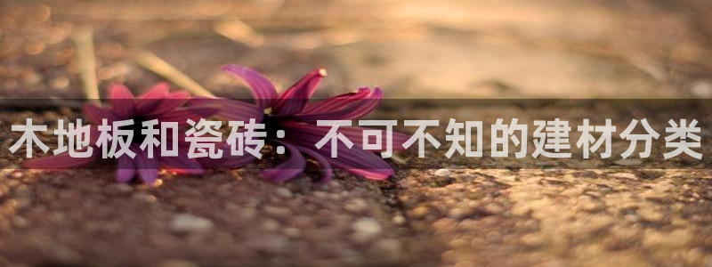 杏鑫主管