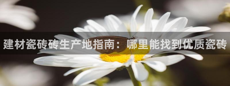 杏鑫平台招商电话是多少