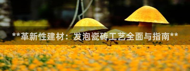 杏鑫平台怎么样黑钱吗安全吗是真的吗