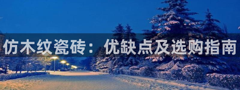 杏鑫平台代理怎么样啊
