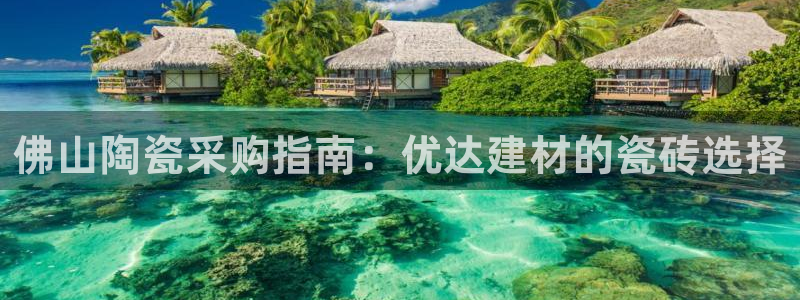 杏鑫官网最新信息
