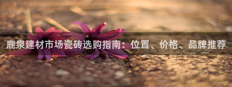 杏鑫平台野马联盟